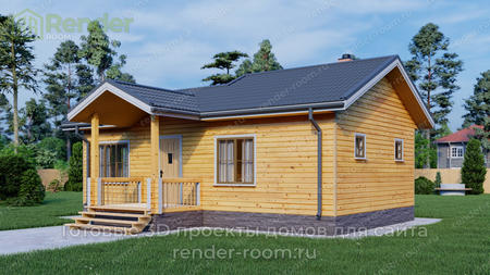 Проект  Площадь: 42, Размер: 6х10