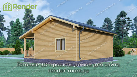 Проект  Площадь: 50, Размер: 6х9