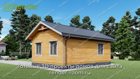 Проект  Площадь: 50, Размер: 6х9