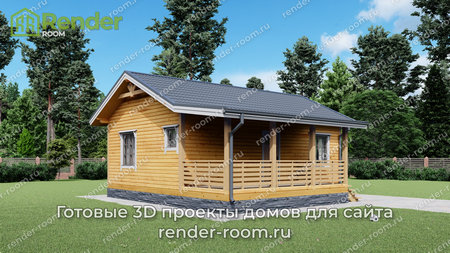 Проект  Площадь: 50, Размер: 6х9