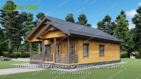 Проект  Площадь: 60, Размер: 6х11